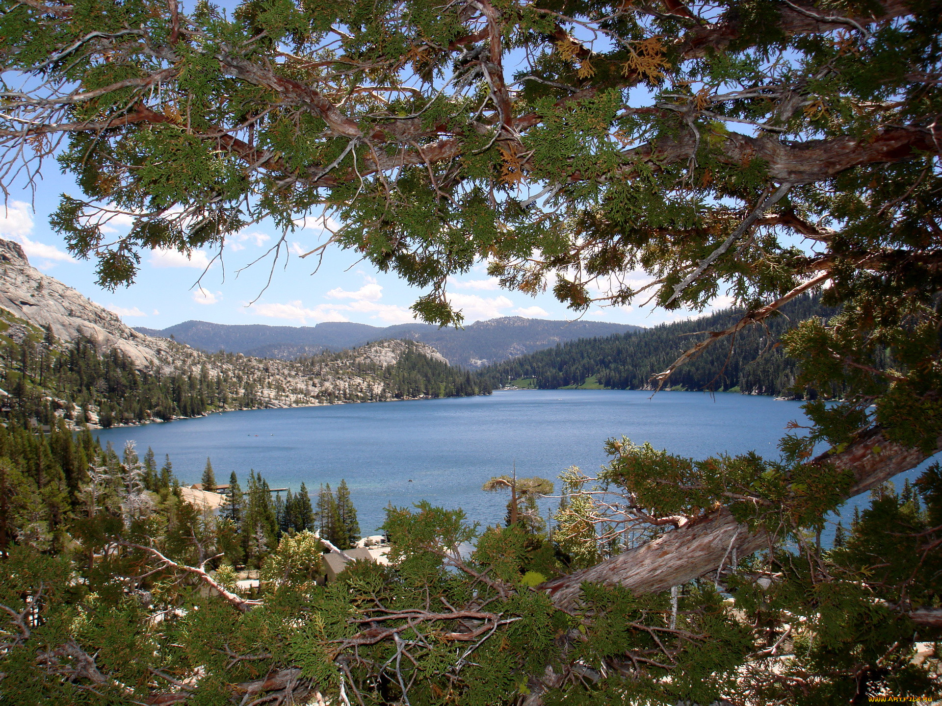 cho, lake, conway, usa, , , 